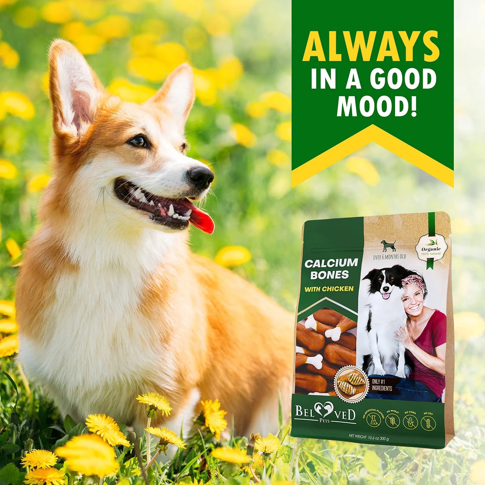 Friandises à mâcher pour chien - Os au calcium enrobés de poulet