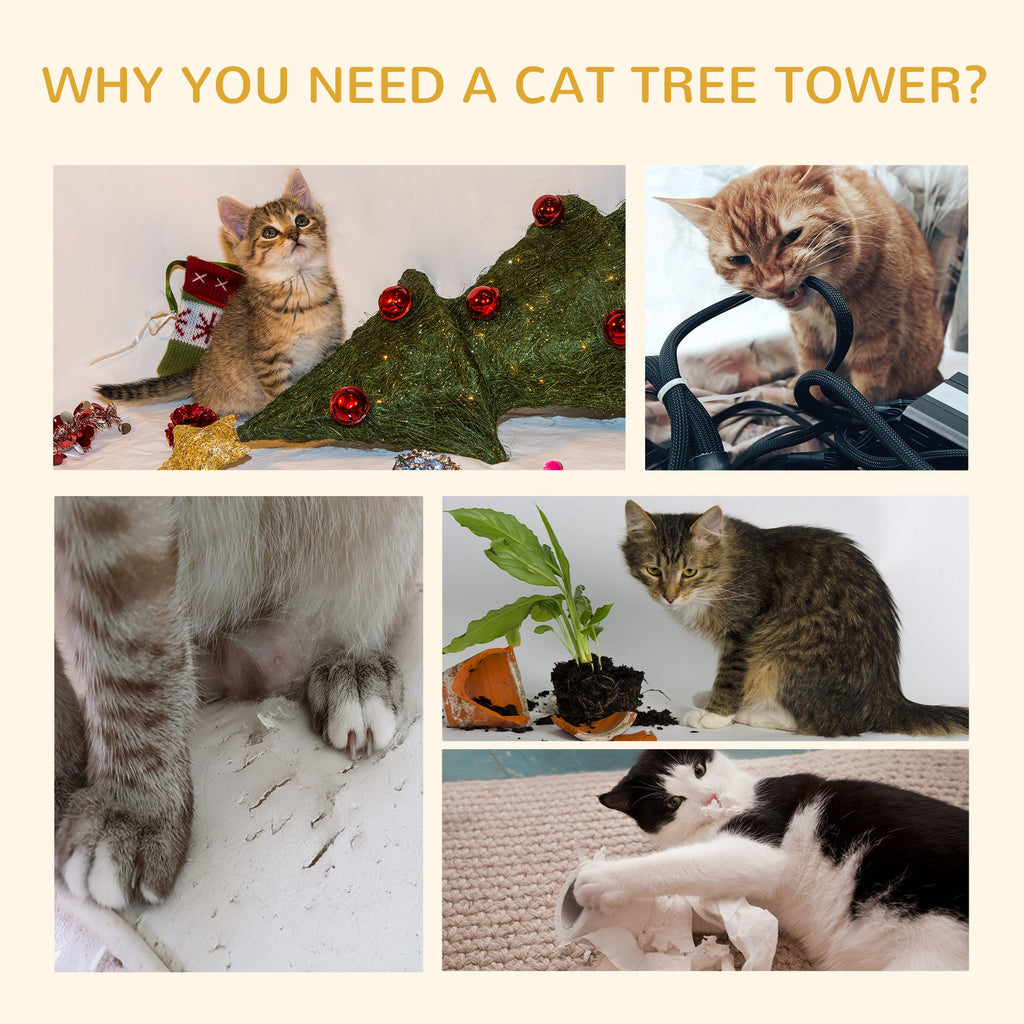 Arbre à Chat Haut en Sisal - Sécurisez le Grattage de Votre Félin