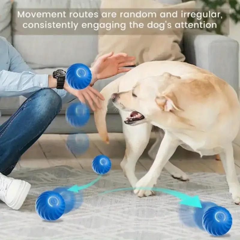 Balle rebondissante bleue et orange pour chats et animaux amusants