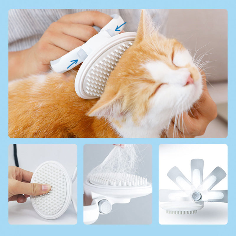 Kit de Brosse de Toilettage pour Chats