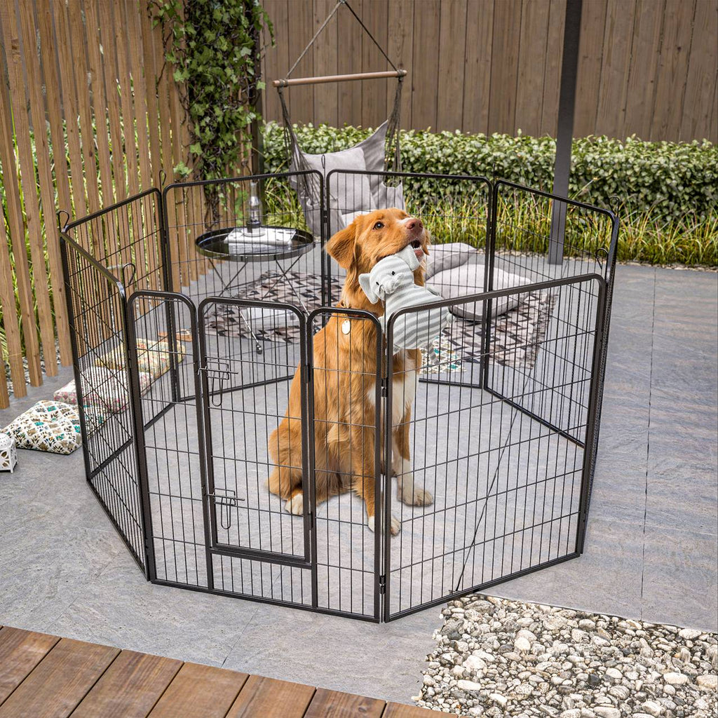 Clôture Extérieure Sécurisée pour Grands Chiens - Liberté de Jeu