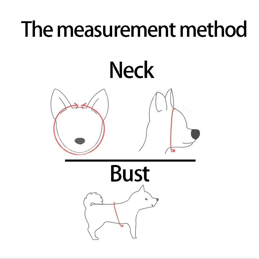 Harnais Réglable pour Chat et Chien avec Système Réfléchissant