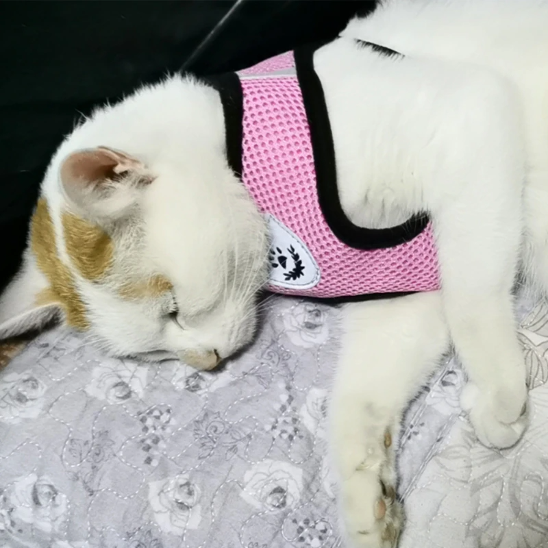 Harnais Réglable pour Chat et Chien avec Système Réfléchissant