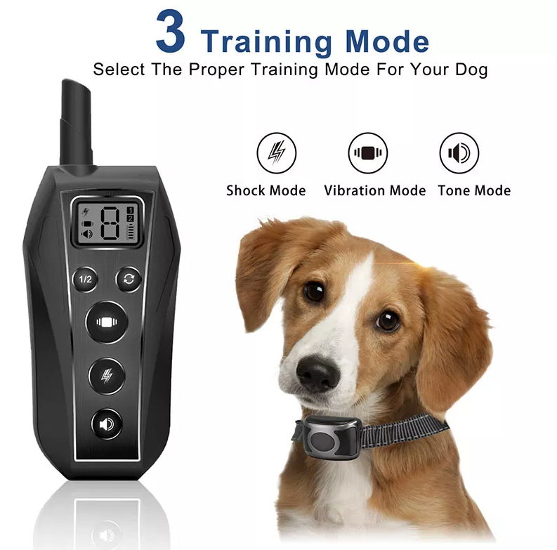 Collier de Dressage à Distance Imperméable pour Chien - 650 m