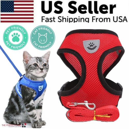 Harnais Réglable pour Chat et Chien avec Système Réfléchissant