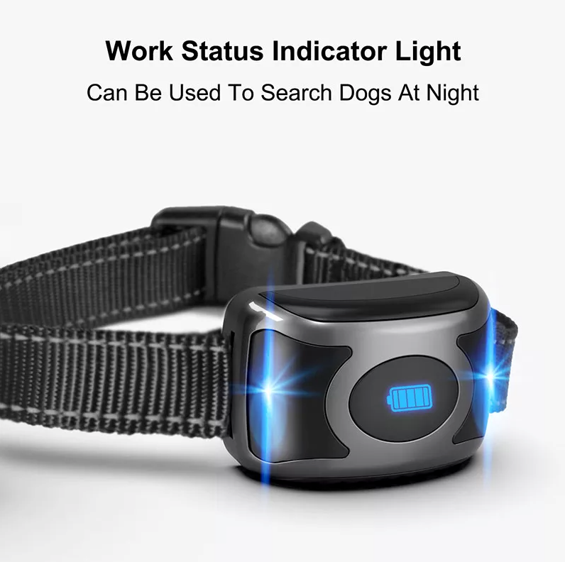 Collier de Dressage à Distance Imperméable pour Chien - 650 m