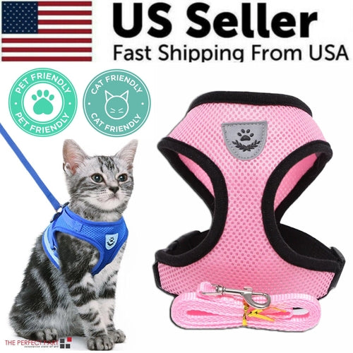 Harnais Réglable pour Chat et Chien avec Système Réfléchissant