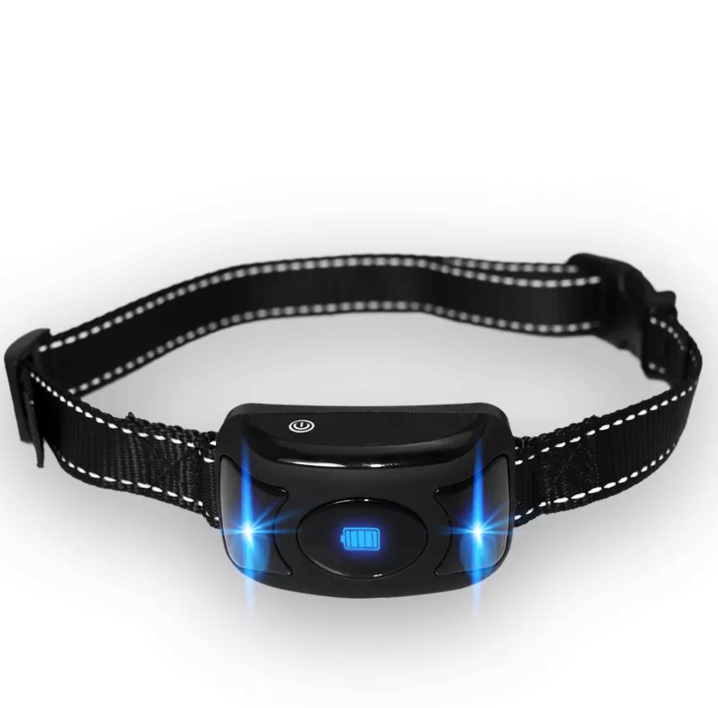 Collier de Dressage à Distance Imperméable pour Chien - 650 m