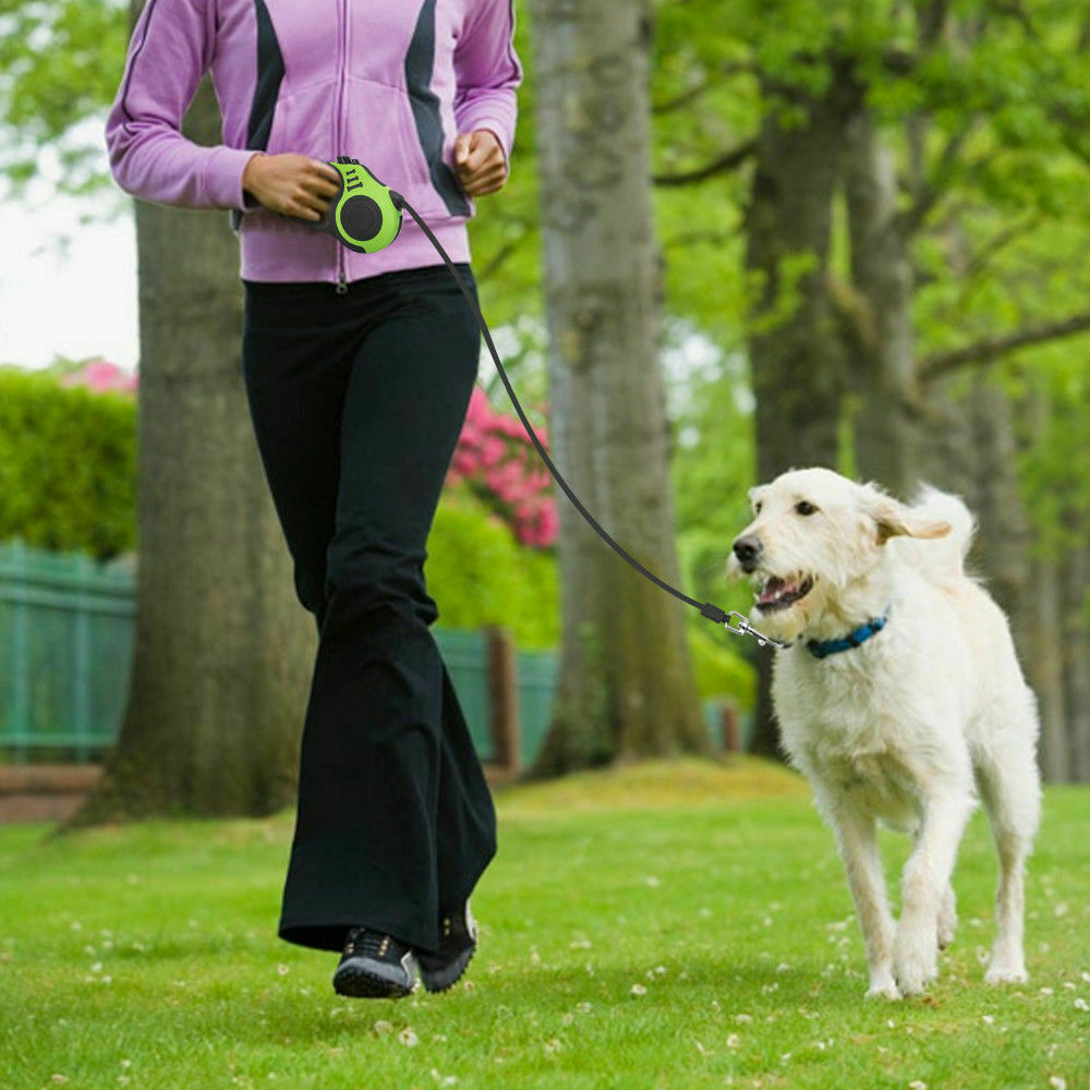 Laisse Automatique Rétractable pour Chien 5 m
