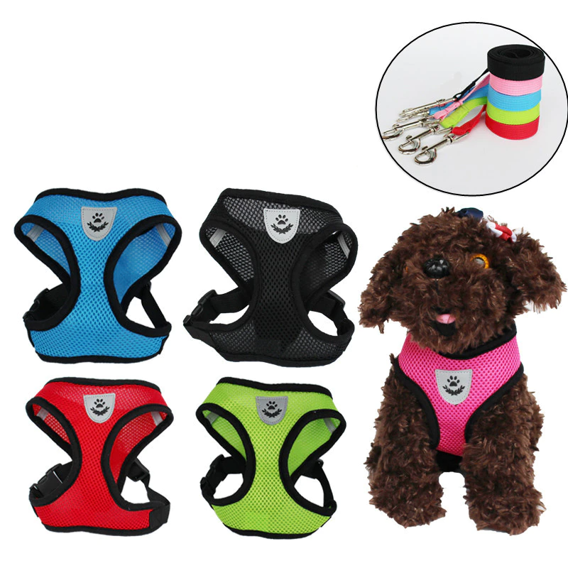 Harnais Réglable pour Chat et Chien avec Système Réfléchissant