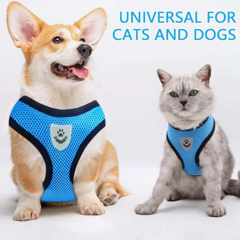 Harnais Réglable pour Chat et Chien avec Système Réfléchissant