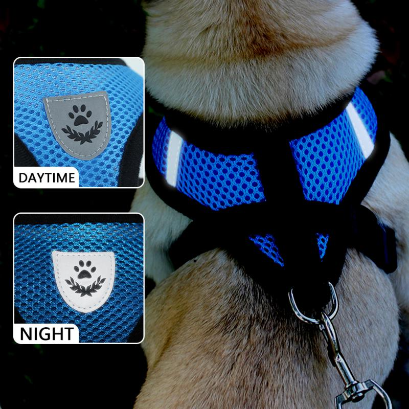 Harnais Réglable pour Chat et Chien avec Système Réfléchissant