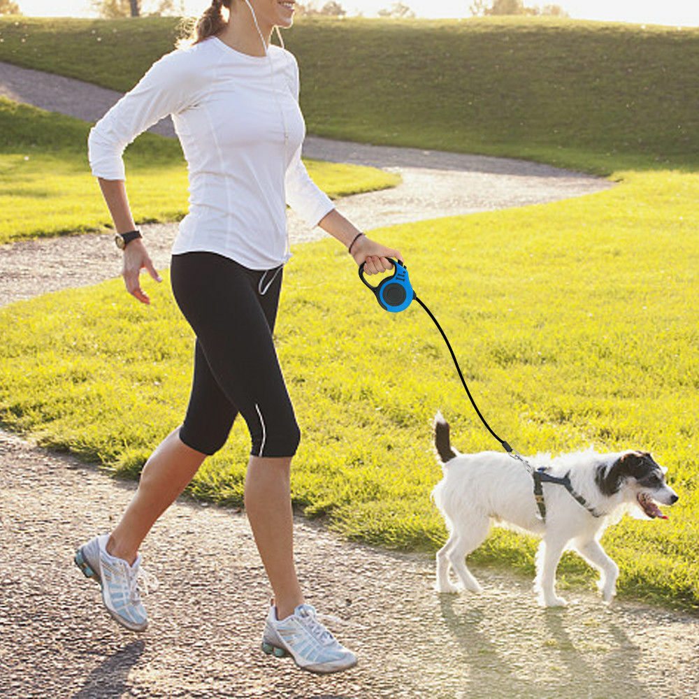 Laisse Automatique Rétractable pour Chien 5 m