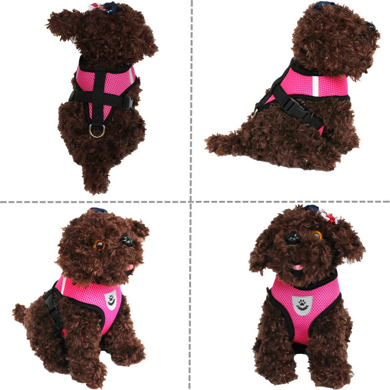 Harnais Réglable pour Chat et Chien avec Système Réfléchissant