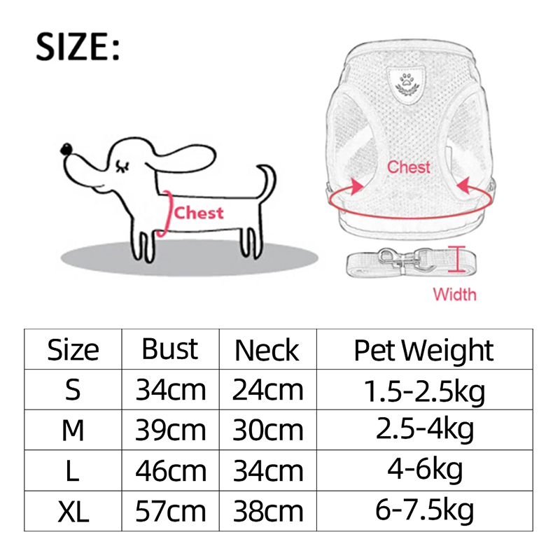 Harnais Réglable pour Chat et Chien avec Système Réfléchissant