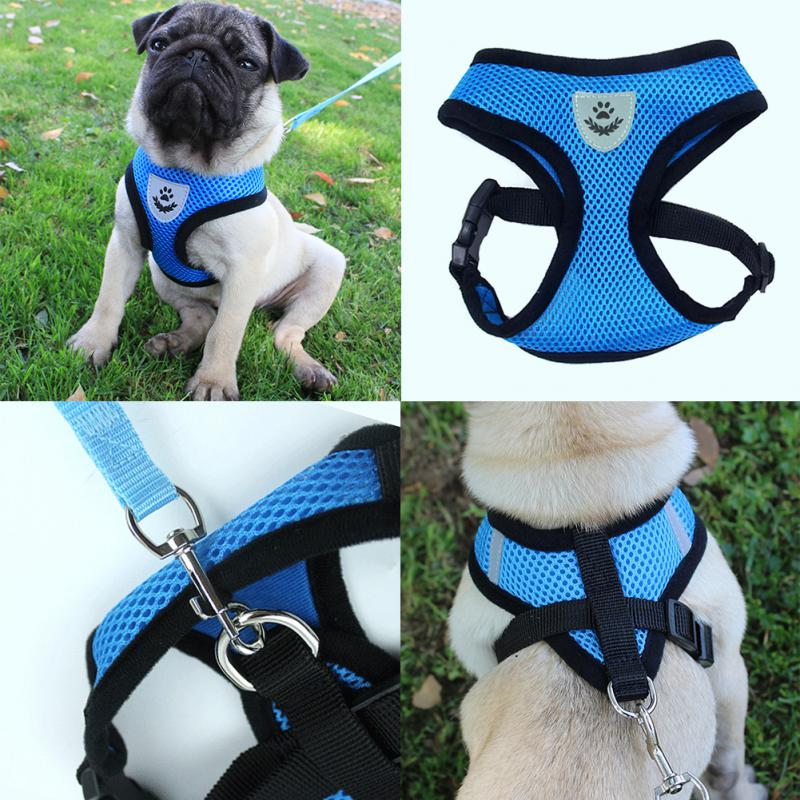 Harnais Réglable pour Chat et Chien avec Système Réfléchissant