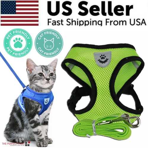 Harnais Réglable pour Chat et Chien avec Système Réfléchissant