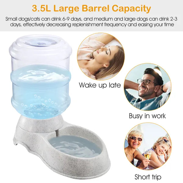 3.5L/1Gal Animal Eau Dispenser Self-Dispensing Gravity Animaux Eau