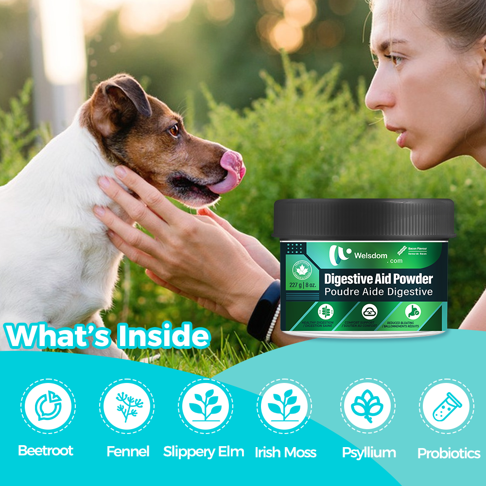 Poudre Aide Digestive pour Chien