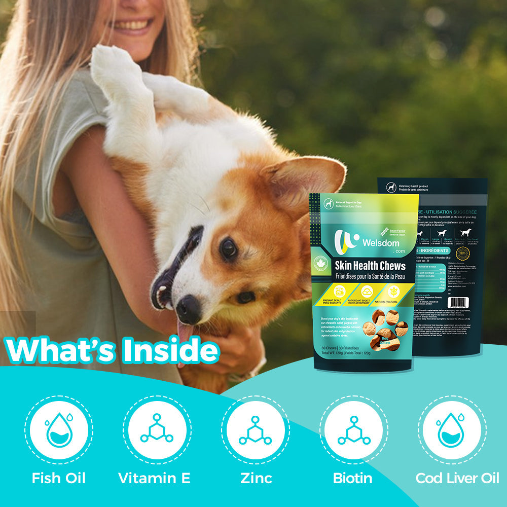 Friandises pour la santé de la peau des chiens – Omega-3 et antioxydants