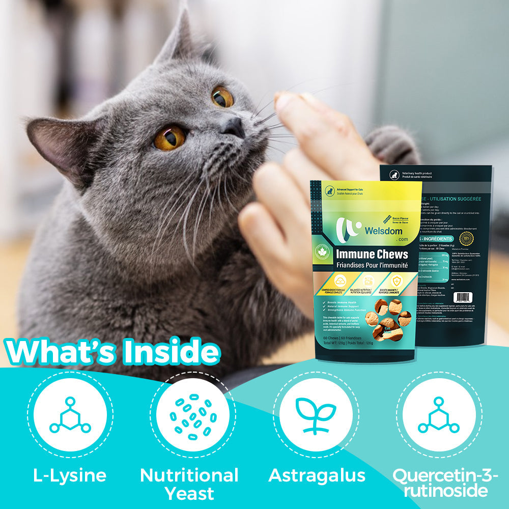 Comprimés à Mâcher pour le Système Immunitaire des Chats