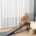 Rampe pour animaux : Accès facile et sécurisé pour chiens et chats