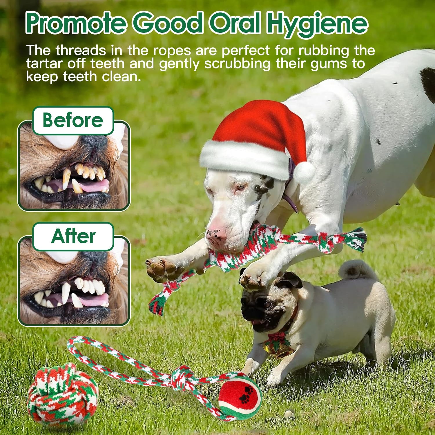 Ensemble de 5 jouets à mâcher en corde de Noël pour chiens