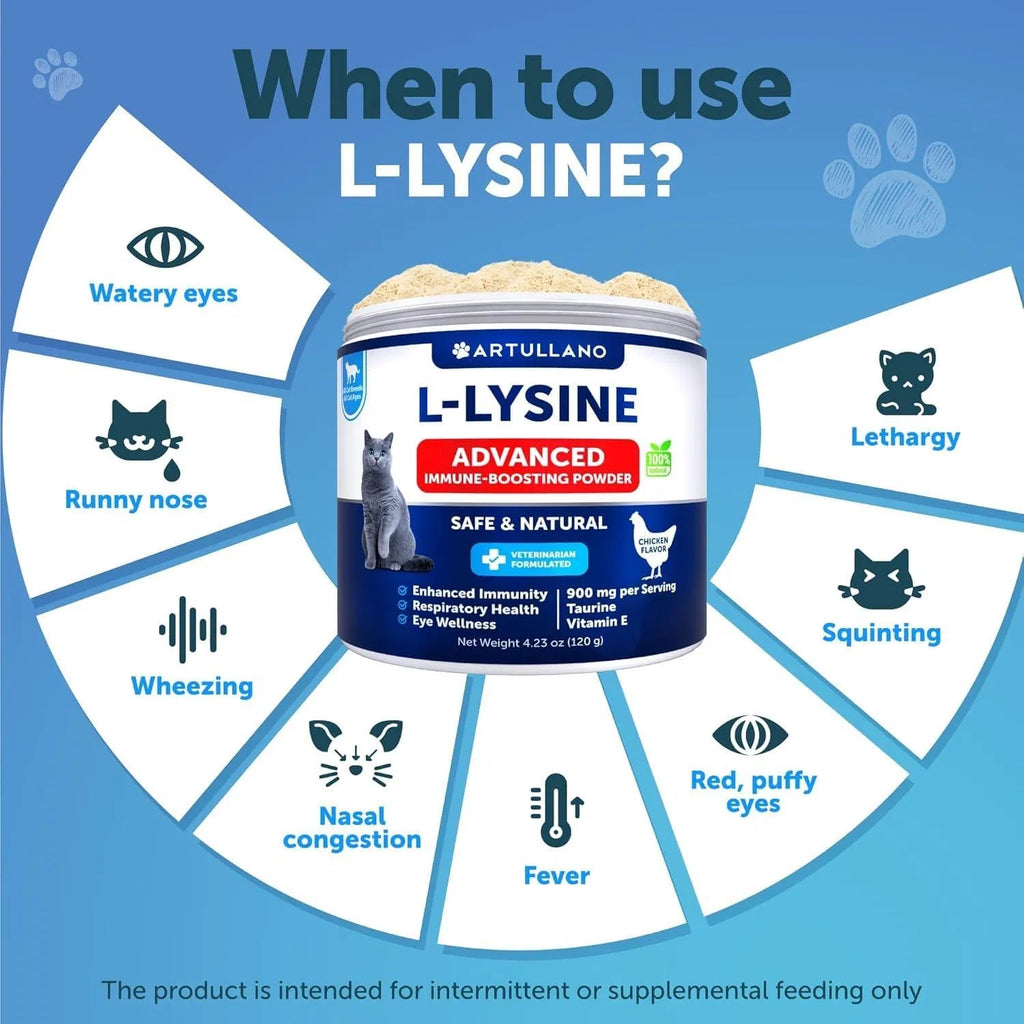 Ne pas vendre sur Amazon L-Lysine pour chats Poudre de supplément de lysine