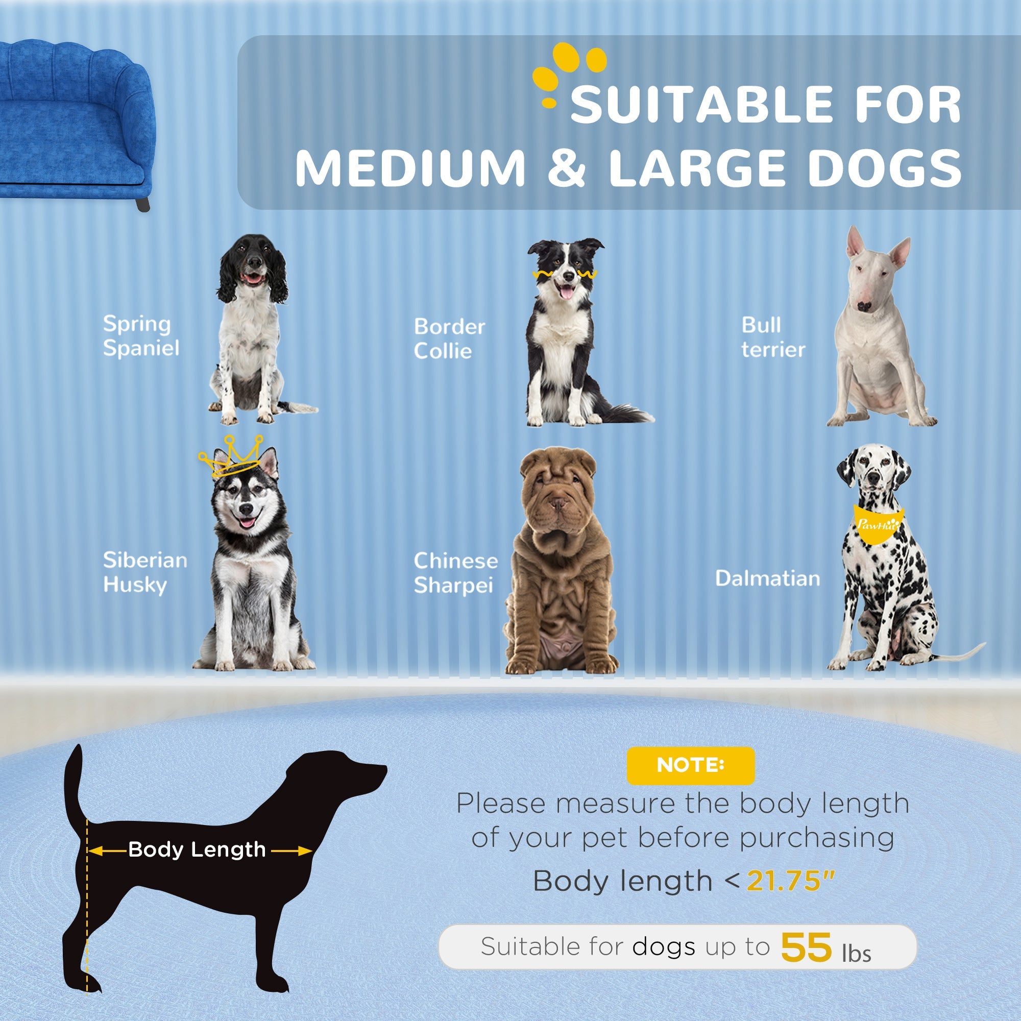 Canapé design pour chiens : confort et élégance réunis