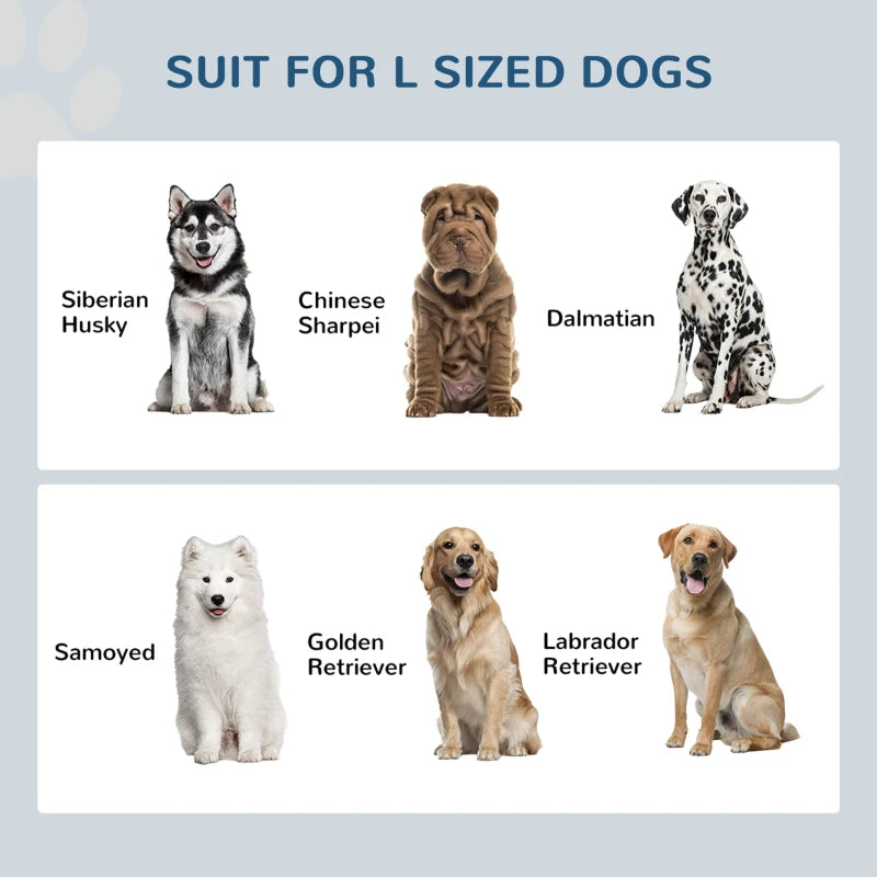 Gamelles surélevées pour chien : confort et rangement intégrés