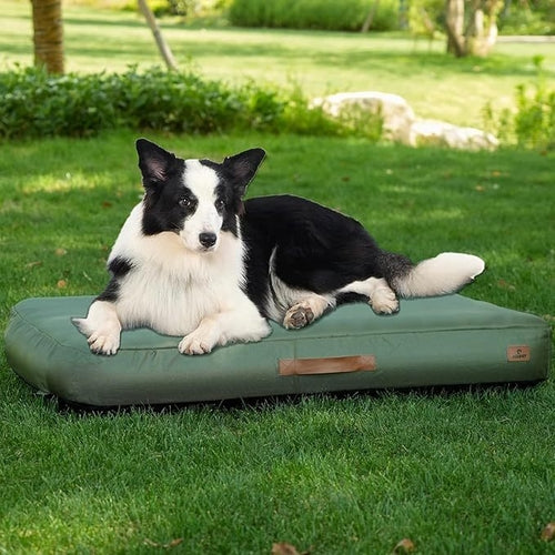 Lit Gonflable Imperméable pour Chien