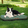 Lit Gonflable Imperméable pour Chien