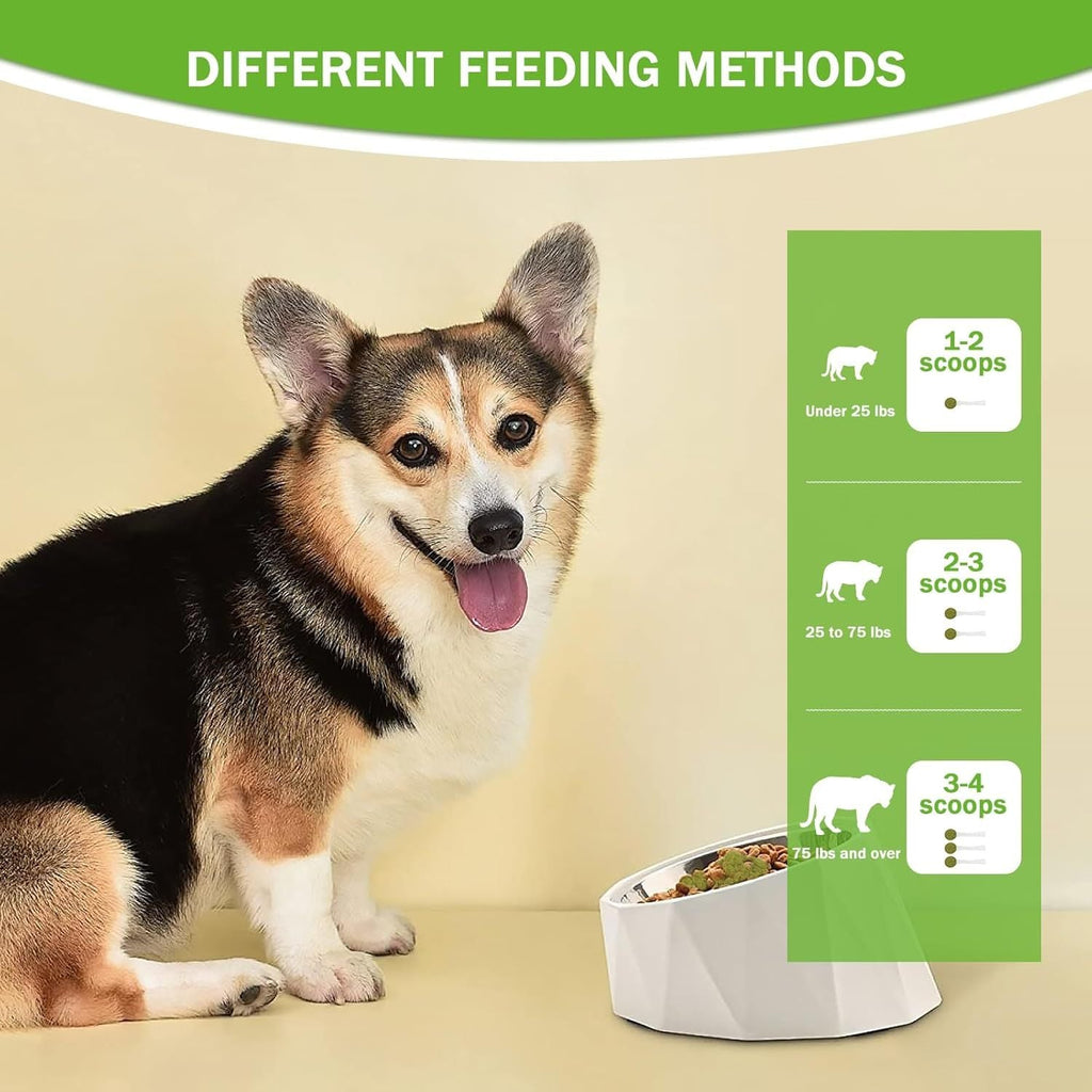 Poudre dentaire pour animaux - Rafraîchit l'haleine, protège les gencives et renforce