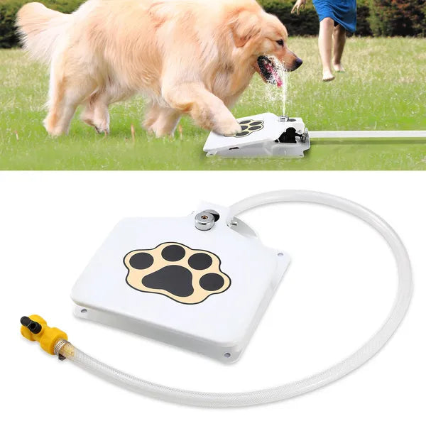 Fontaine d'Eau Extérieure pour Chien