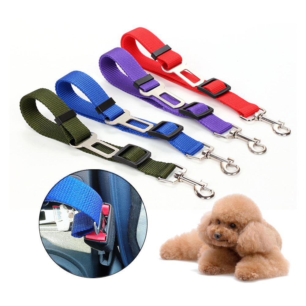 Laisse Véhicule Nylon Réglable pour Animaux Résistante