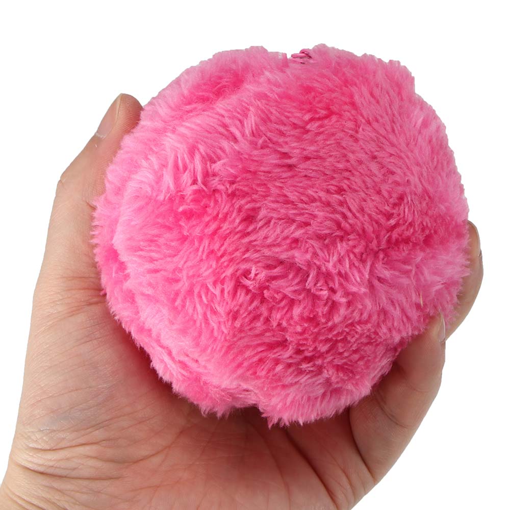 Balle magique pour chiens et chats