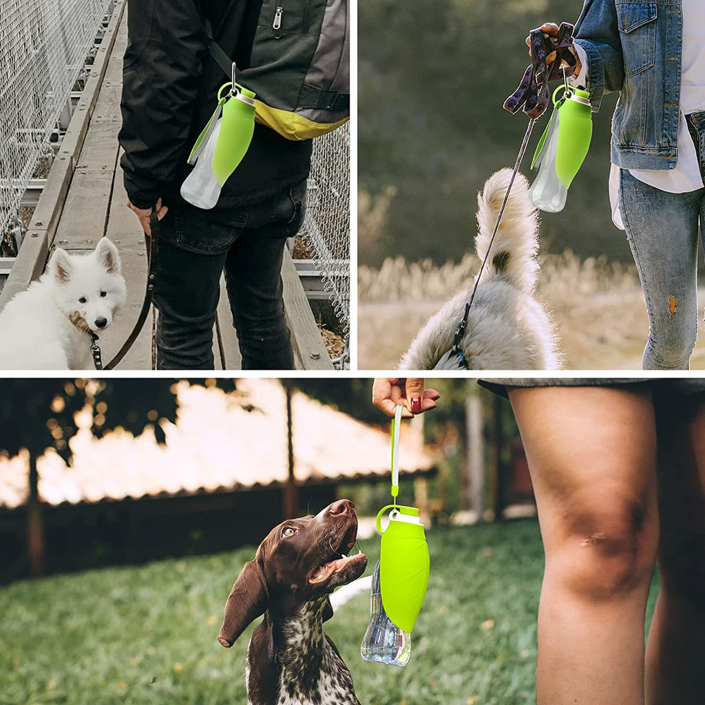 Distributeur d'eau portable pour animaux, étanche