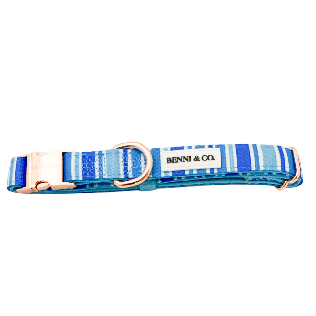 Collier pour chien Ride the Waves