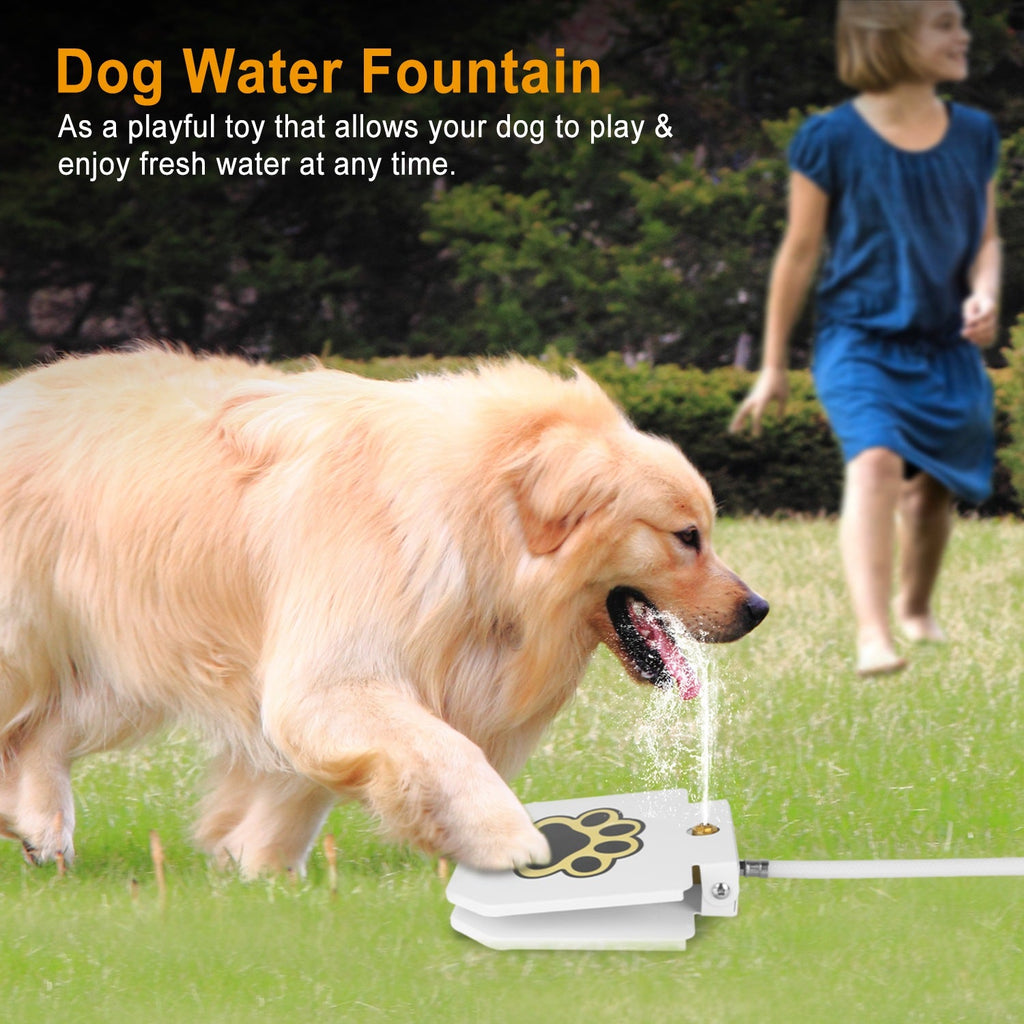Fontaine d'Eau Extérieure pour Chien - Hydratation Ludique