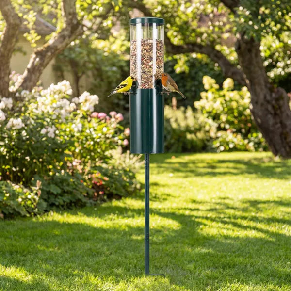 Mangeoire à Oiseaux sur Pied : Protection Anti-Écureuils