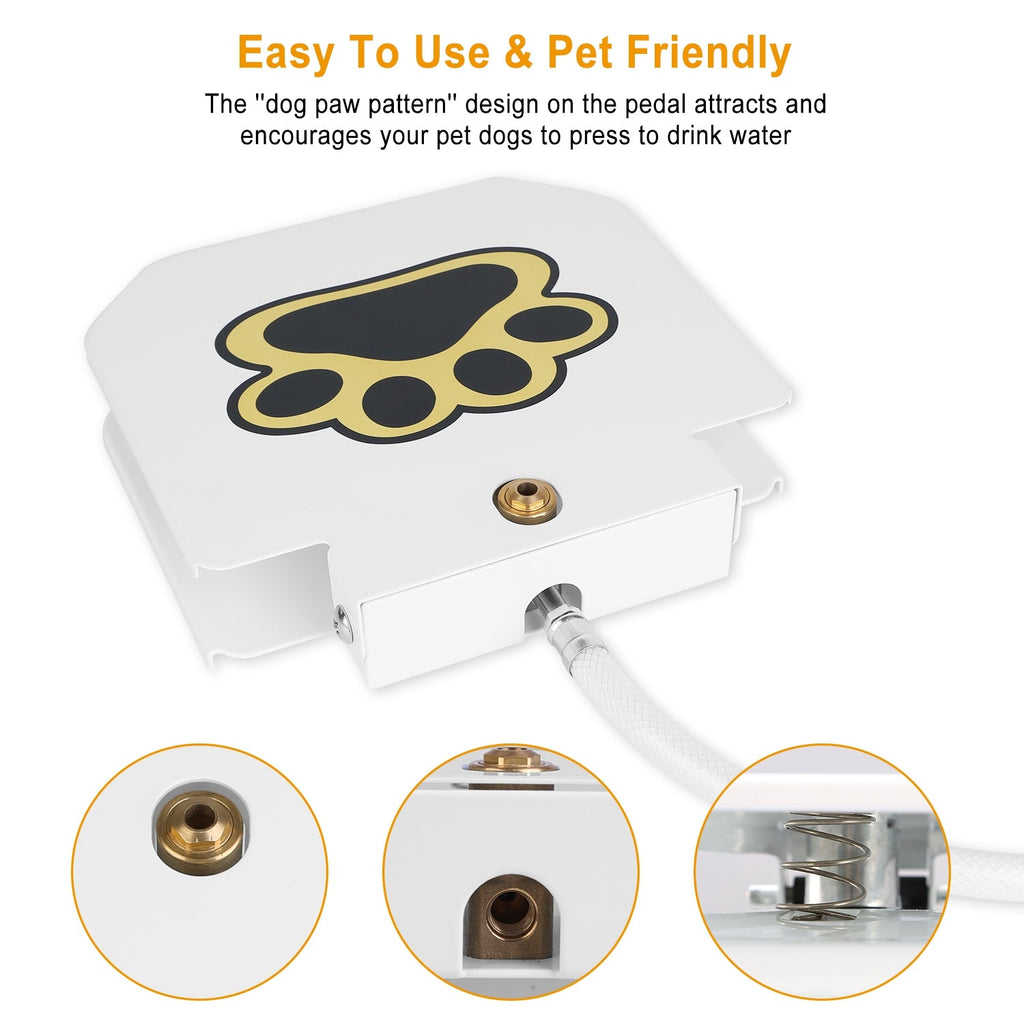Fontaine d'Eau Extérieure pour Chien - Hydratation Ludique