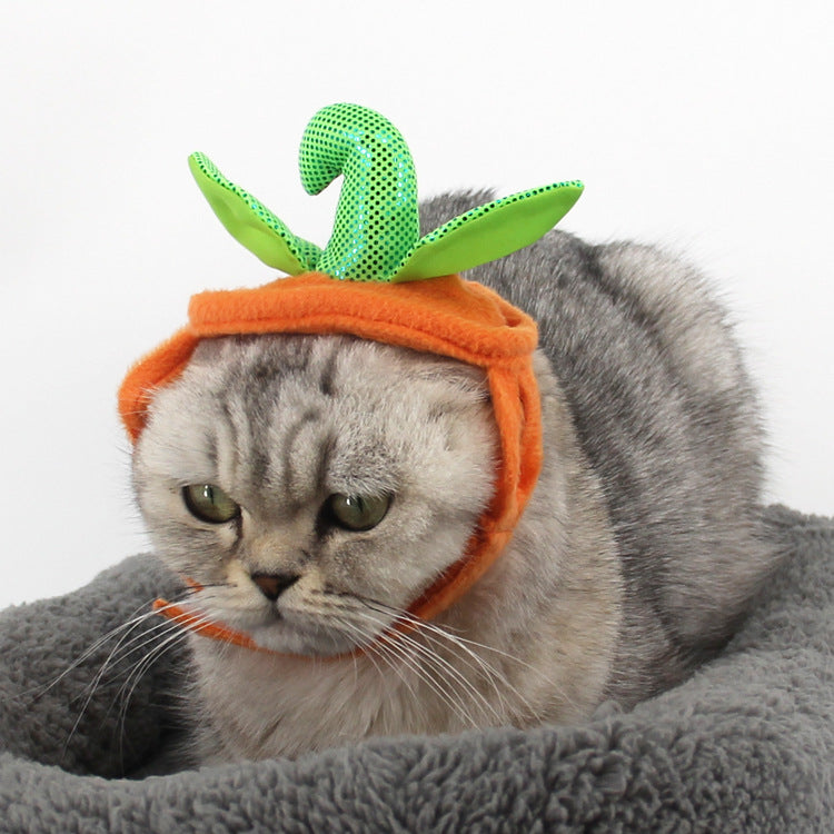 Accessoires de Costume Créatifs pour Chats d'Halloween - Citrouille