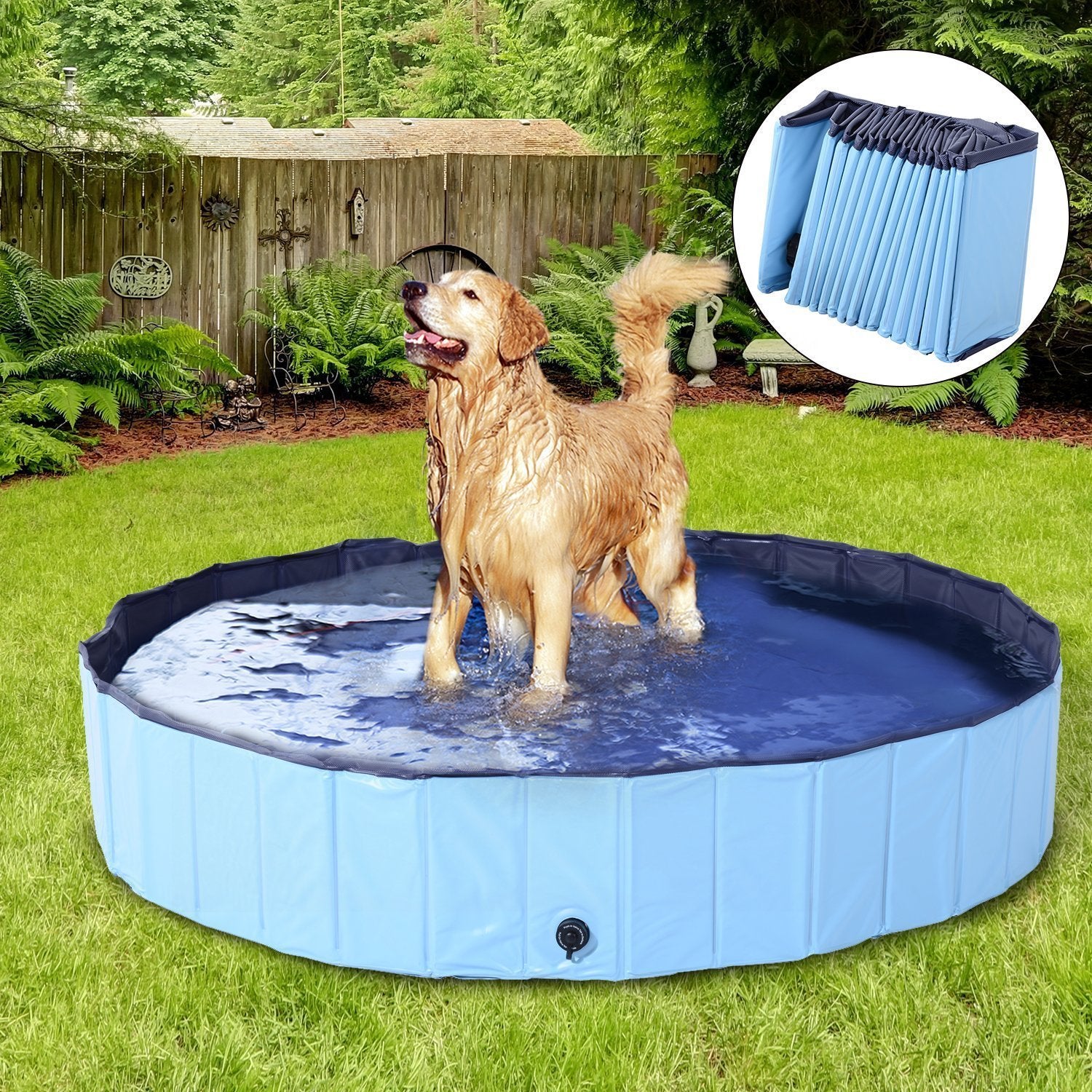 Baignoire pliante pour chiens : un bain sans stress !
