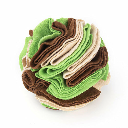 Tapis de Dressage pour Chien