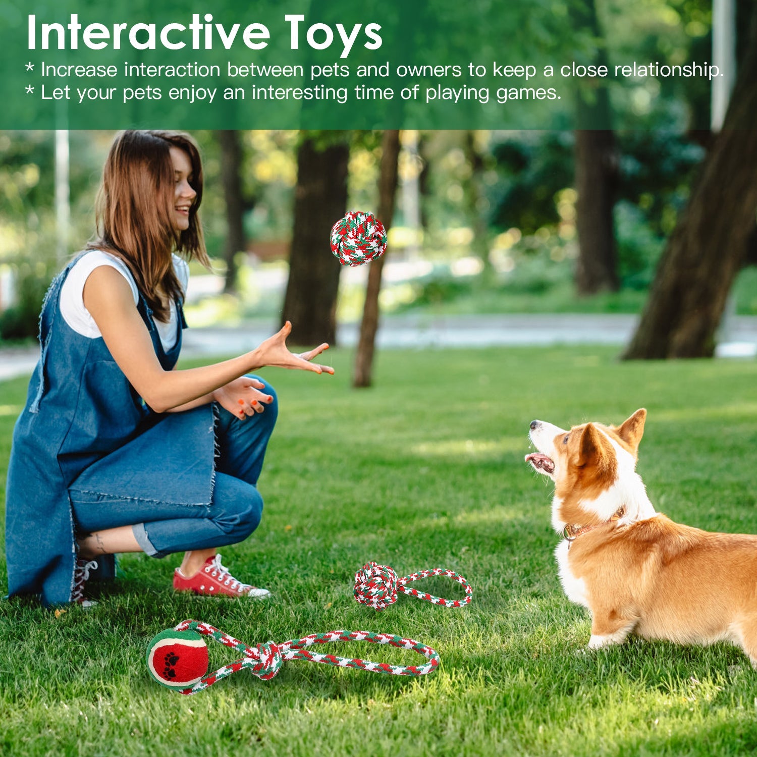 Ensemble de 5 jouets à mâcher en corde de Noël pour chiens