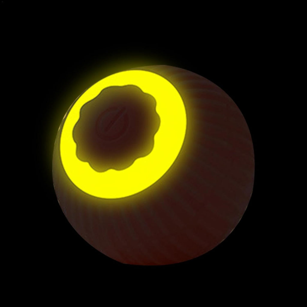 Interactif Rolling Chat Balle