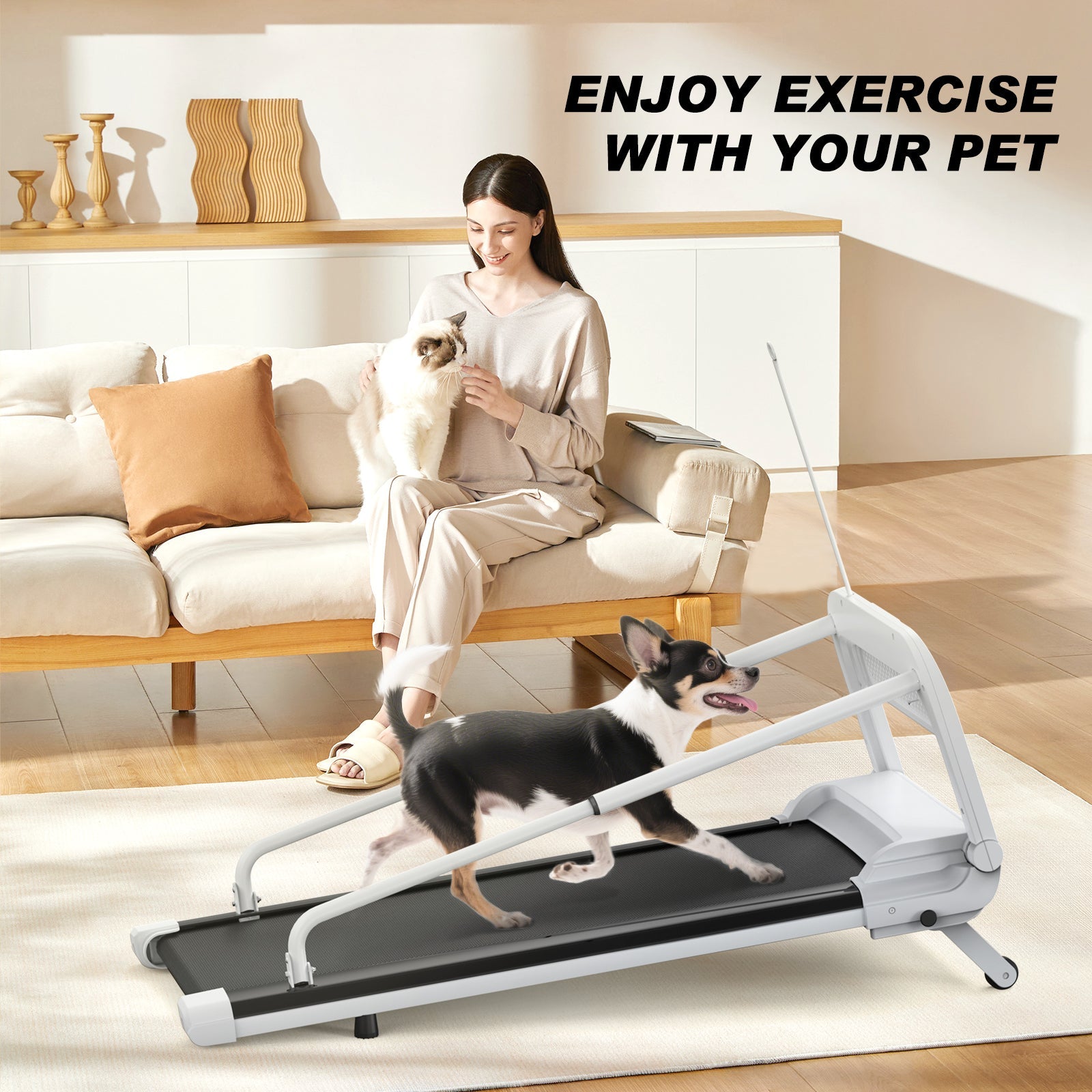 Nouveau Tapis de Course Silencieux Intelligent pour Animaux, Vitesse Réglable, Parfait pour Petits