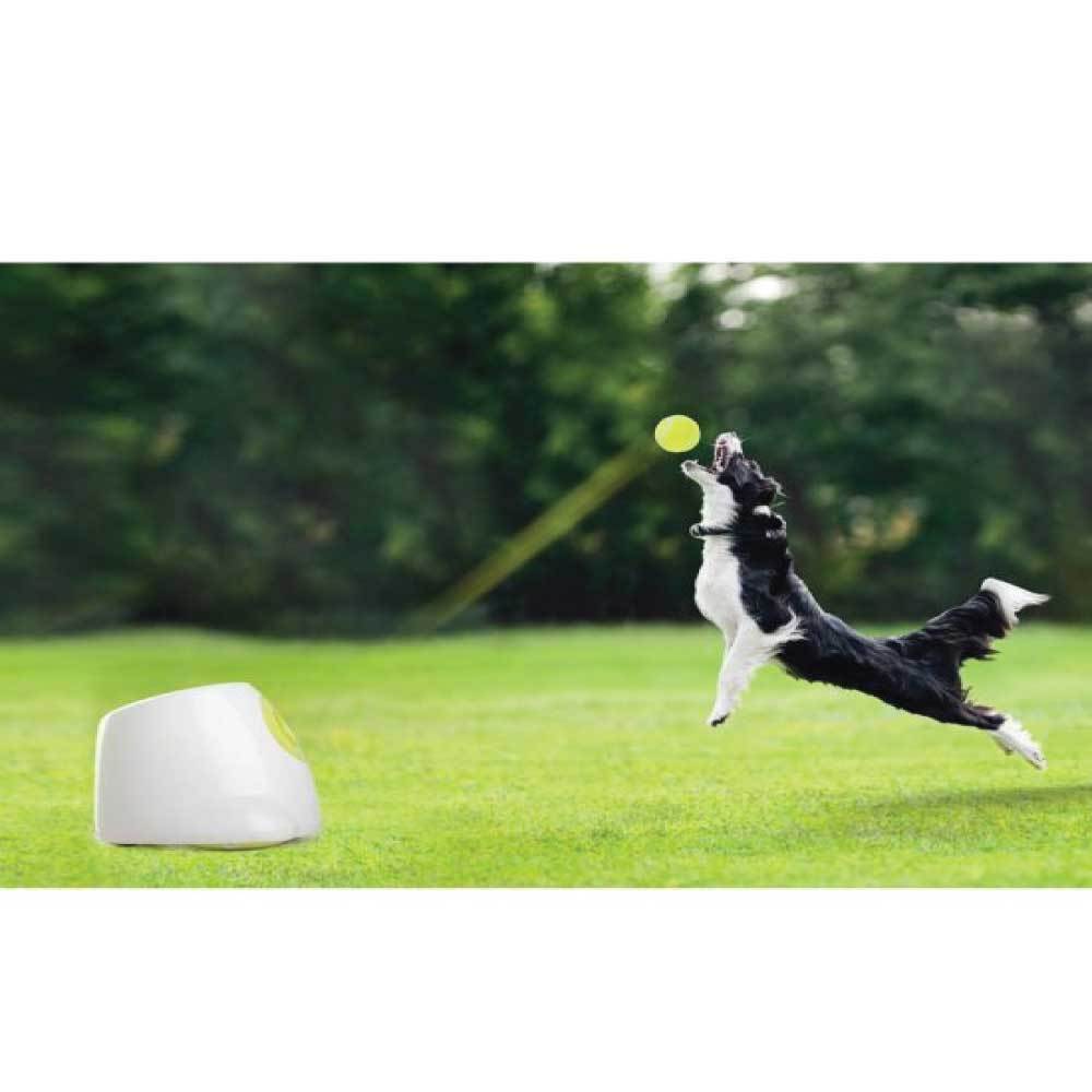 Lanceur de Balle Hyper Fetch Maxi - Amusez Votre Chien Sans Effort