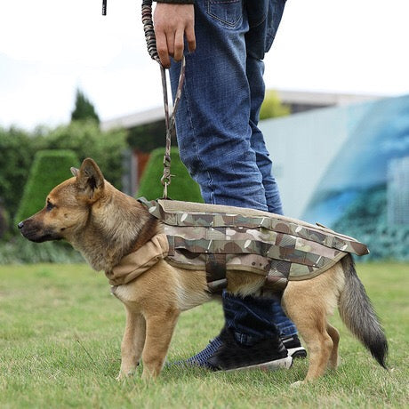 Laisse pour chien avec fils réfléchissants
