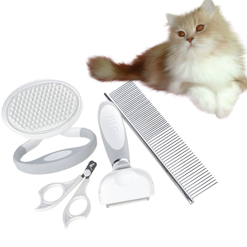 Kit de Brosse de Toilettage pour Chats